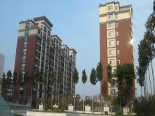 濰坊市和春住住宅樓，獲得2013年度濰坊市“優(yōu)質(zhì)結(jié)構(gòu)杯質(zhì)量獎”