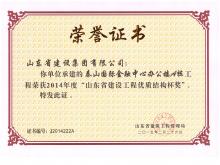 泰山國際A樓山東省建設工程優(yōu)質(zhì)結(jié)構(gòu)杯