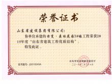 特變·森林花園3#樓獲2015年度山東省建設工程優(yōu)質(zhì)結(jié)構(gòu)
